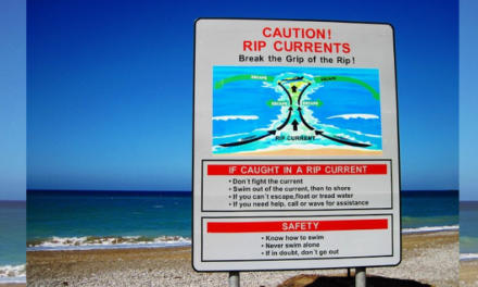 Man in His 60s Drowns in Rip Current at Marcoola Beach