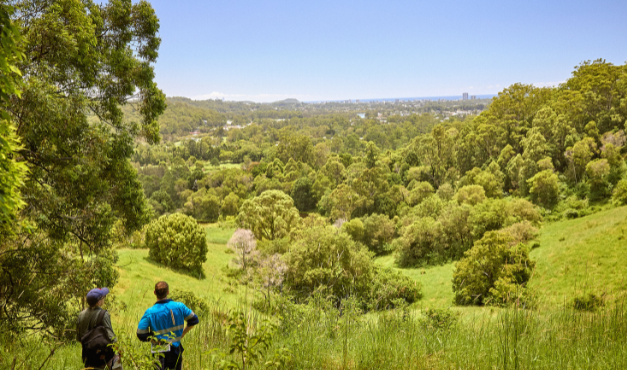 Gold Coast Unveils Plan for Australia’s Largest Eco-Park in Currumbin
