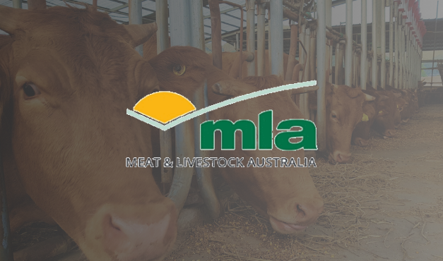 MLA Unveils Livestock Transport Hub at Livestock Conference in Toowoomba