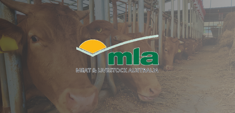 MLA Unveils Livestock Transport Hub at Livestock Conference in Toowoomba