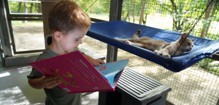 Townsville Revives ‘Reading to Pets’ Program for Shelter Animals and Children