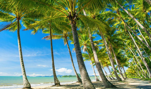 Queensland Suburb Claims ‘Best Beach in the World’ Title