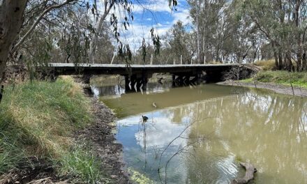 Melrose Road Bridge Set for Safety Enhancement Upgrade