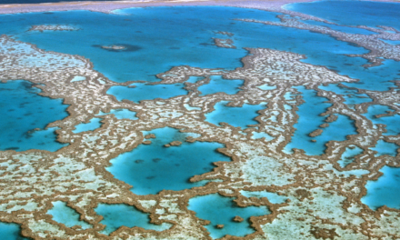 Queensland’s Great Barrier Reef Island Protection Expanded