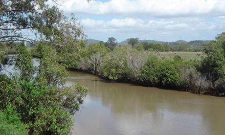 Gold Coast City Council Investigated for Sewage Spill in Albert River