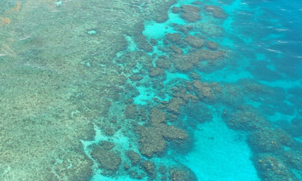 $17.48 Million Funding to Support Reef Guardians Program