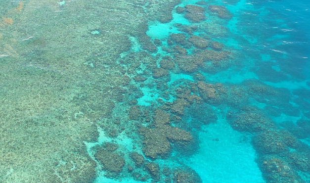 $17.48 Million Funding to Support Reef Guardians Program