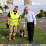 Mackay Council Deploys Smart Dogs to Detect Water Leaks