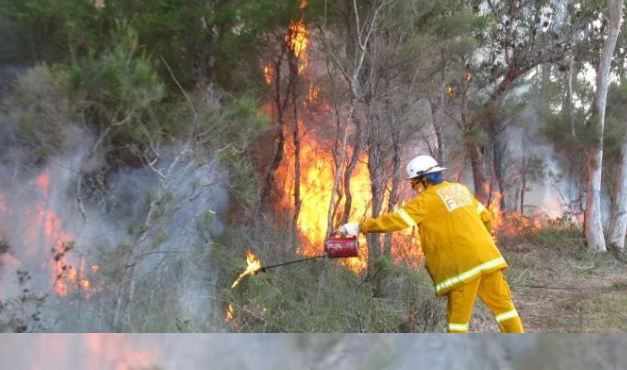 Redland Council Adds Planned Burn Alerts to Emergency Service