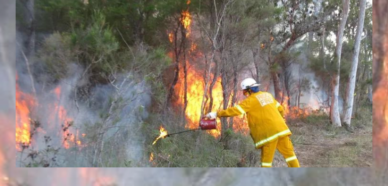 Redland Council Adds Planned Burn Alerts to Emergency Service